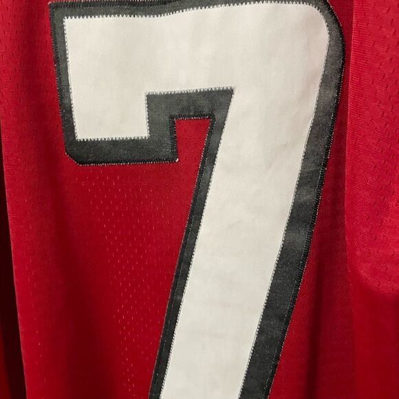 Mike Vick Atlanta Falcons jersey - Picture 8 of 8